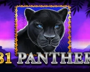 81 Panther