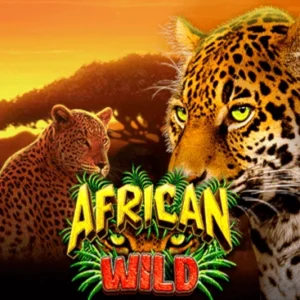 African Wild
