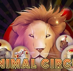 Animal Circus