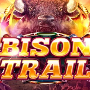 Bison Trail