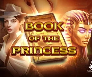 Book of The Princess