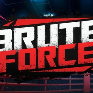 Brute Force