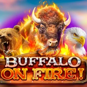 Buffalo on Fire