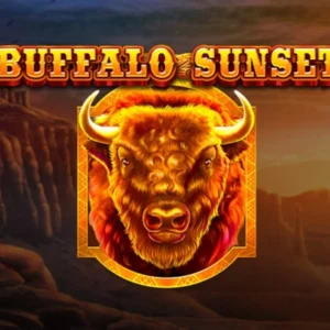 Buffalo Sunset