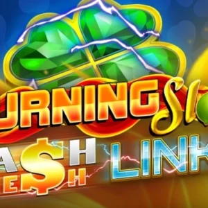 Burning Slots Cash Mesh Link