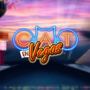 Cat in Vegas