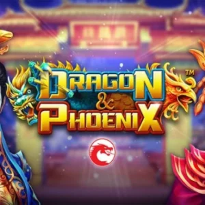 Dragon & Phoenix