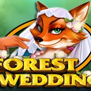 Forest Wedding