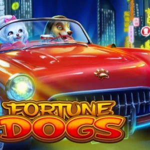 Fortune Dogs