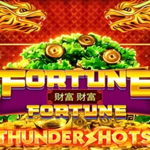 Fortune Fortune: Thundershots