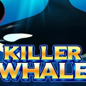Killer Whale