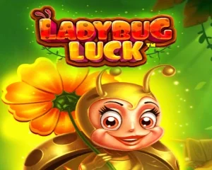 Ladybug Luck