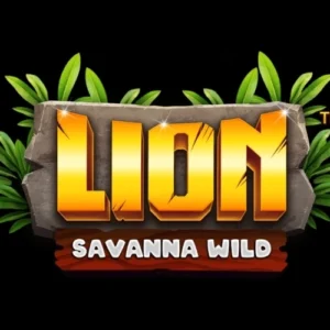 Lion Savanna Wild