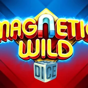 Magnetic Wild Dice