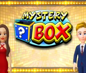 Mystery Box