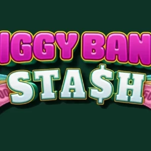 Piggy Bank Stash