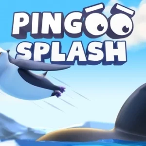 Pingoo Splash
