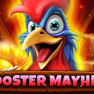 Rooster Mayhem