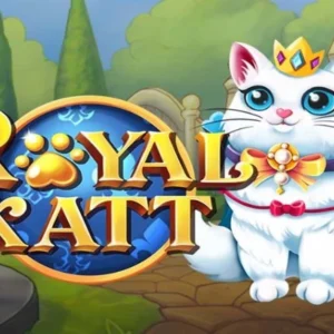 Royal Katt