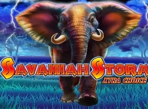 Savannah Storm Xtra Choice