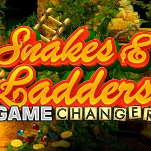 Snakes & Ladders Game Changer