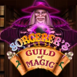 Sorcerer's Guild of Magic