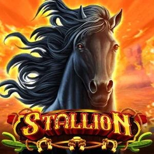 Stallion
