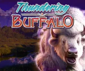 Thundering Buffalo