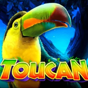 Toucan