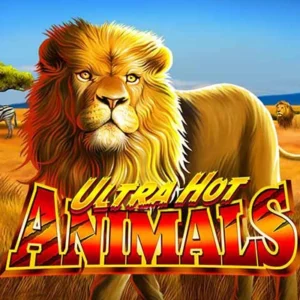 Ultra Hot Animals