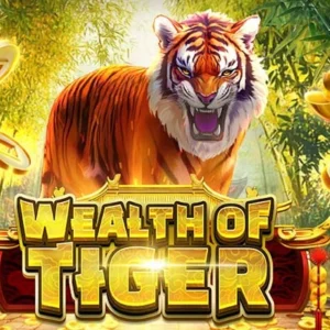 Wealth of Tiger