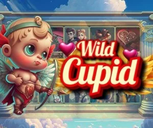 Wild Cupid