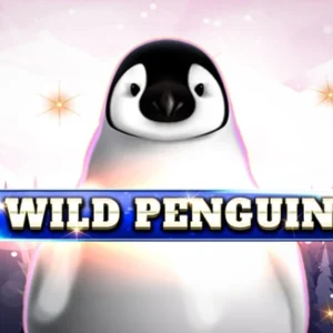 Wild Penguin