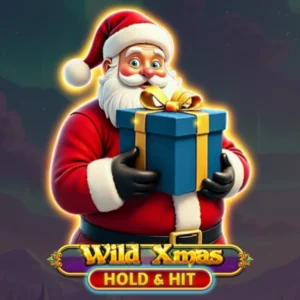Wild Xmas Hold & Hit