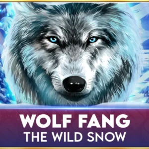 Wolf Fang The Wild Snow